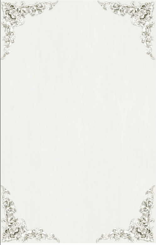 TS055 Wall décor art mirror on mirror rectangular ornate